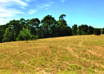 Wandong Lot1BadenDrive Thumbnail